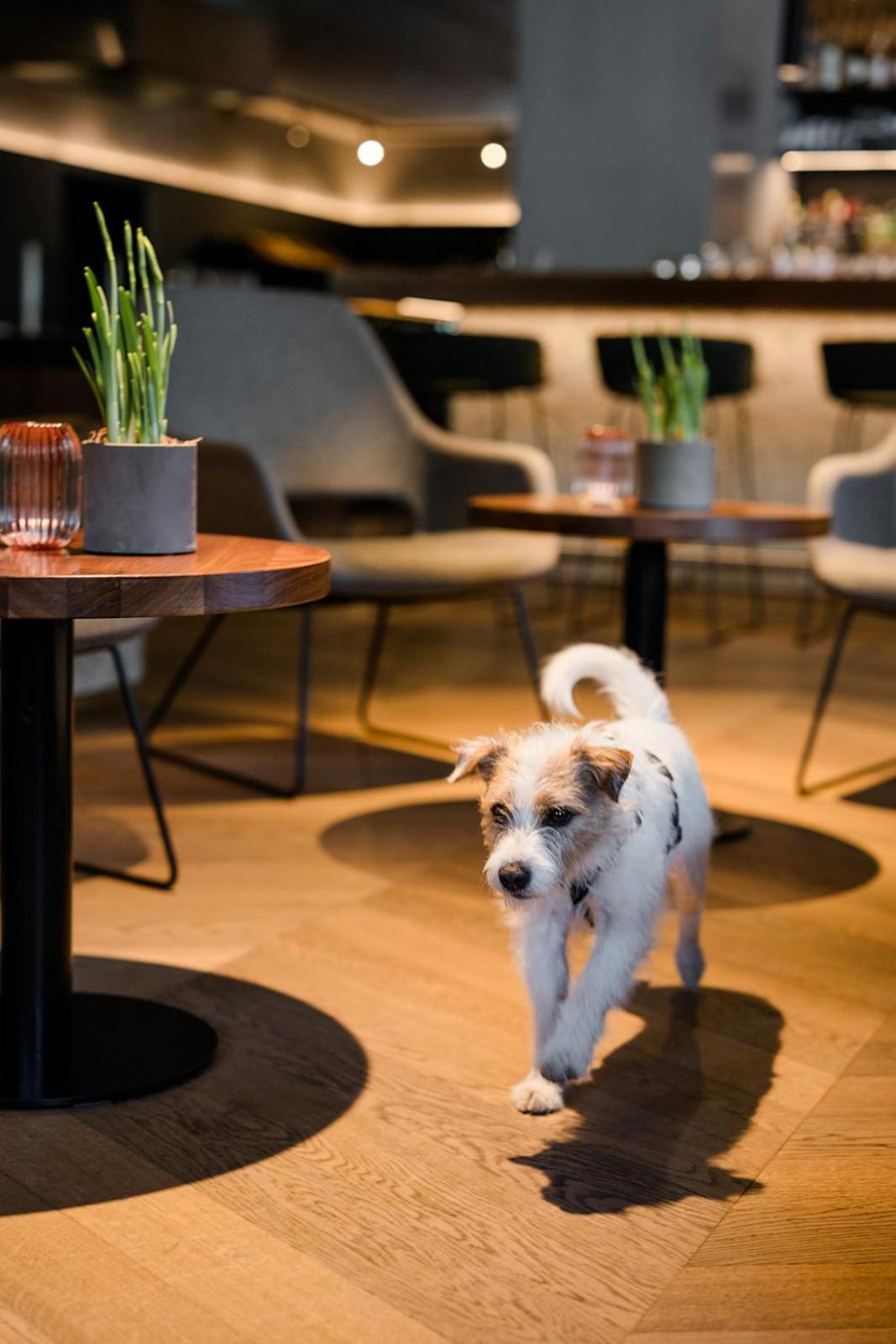Hotel Bergzeit Grossarl Kültér fotó